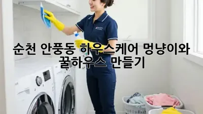 순천 안풍동 하우스케어🏡: 멍냥이🐾와 꿀하우스 만들기✨