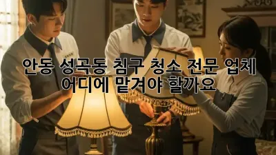 안동 성곡동 침구 청소 전문 업체, 어디에 맡겨야 할까요?